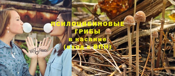 тгк Аркадак